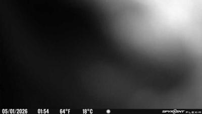 Camera image at 01:54 PST