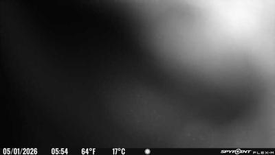 Camera image at 05:54 PST