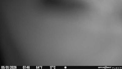 Camera image at 07:46 PST