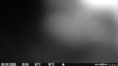 Camera image at 10:54 PST