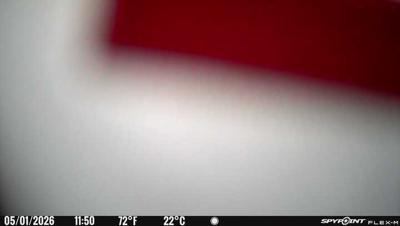 Camera image at 11:50 PST