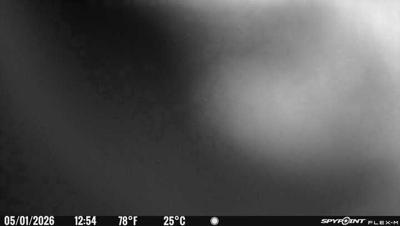 Camera image at 12:54 PST