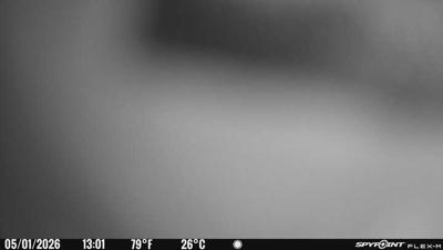 Camera image at 13:01 PST