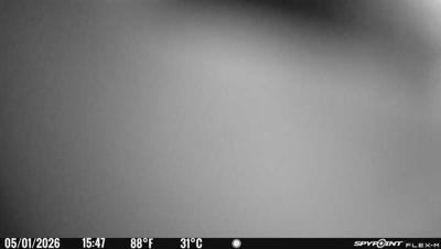 Camera image at 15:47 PST