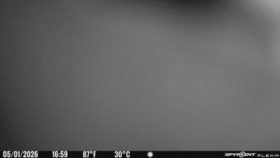 Camera image at 16:59 PST