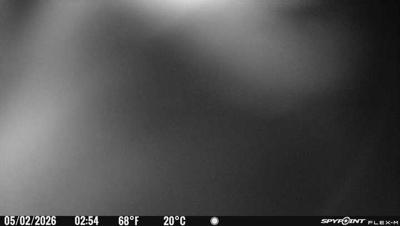 Camera image at 02:54 PST
