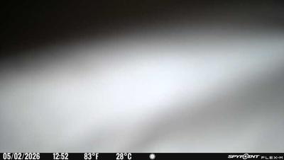 Camera image at 12:52 PST
