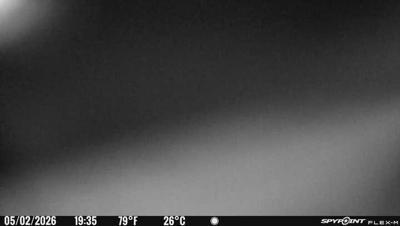 Camera image at 19:35 PST