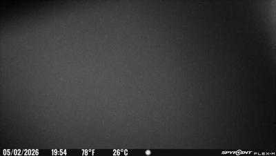 Camera image at 19:54 PST