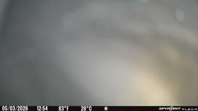 Camera image at 12:54 PST