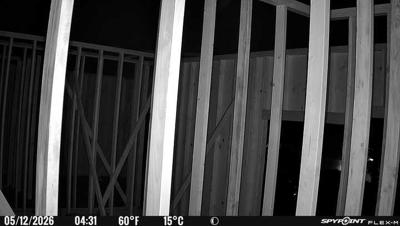 Camera image at 04:31 PST
