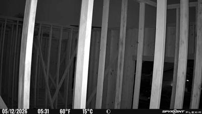 Camera image at 05:31 PST