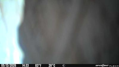 Camera image at 14:33 PST