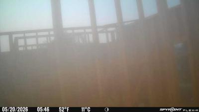 Camera image at 05:46 PST